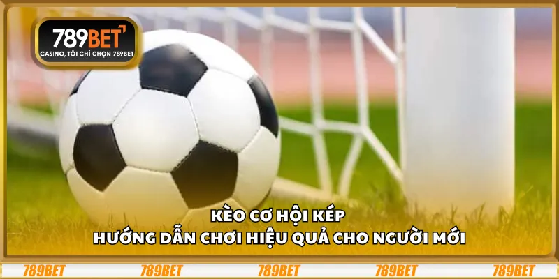 Kèo cơ hội kép – Hướng dẫn chơi hiệu quả cho người mới 5 Kèo cơ hội kép – Hướng dẫn chơi hiệu quả cho người mới