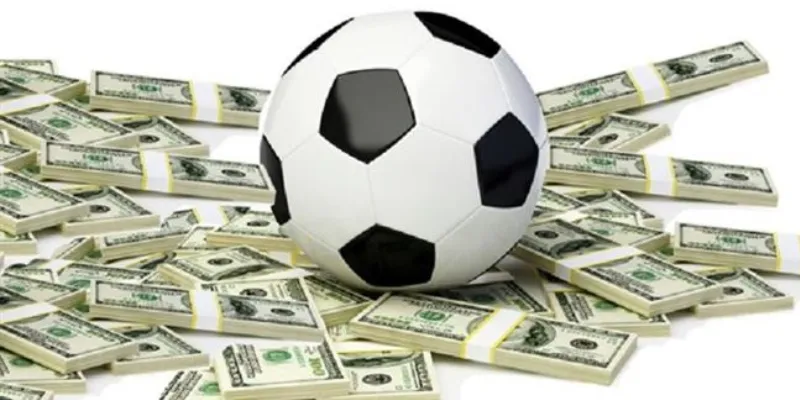 Làm sao để người mới soi kèo bóng Cúp C1 đạt kết quả tốt?