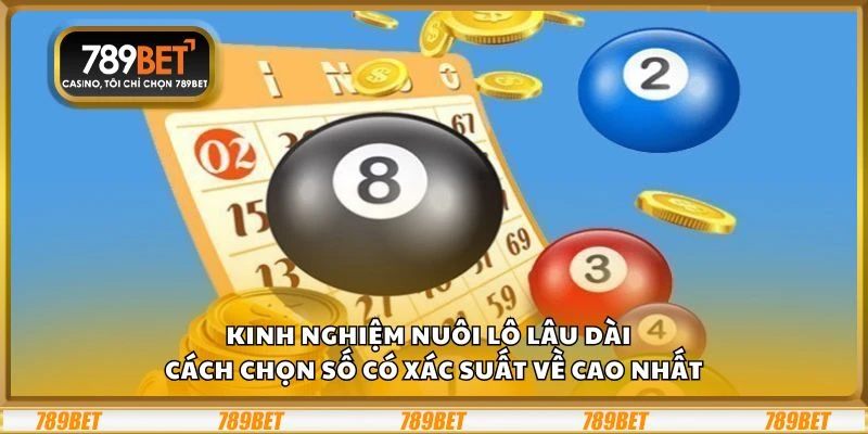 Kinh nghiệm nuôi lô lâu dài - Cách chọn số có xác suất về cao nhất