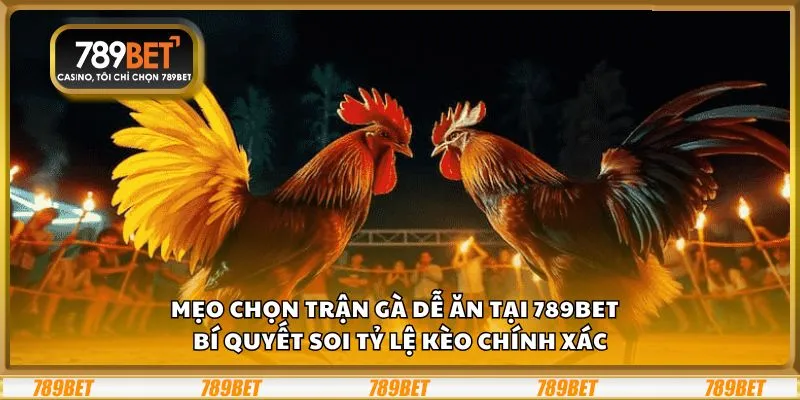 Mẹo chọn trận gà dễ ăn tại 789Bet – Bí quyết soi tỷ lệ kèo chính xác